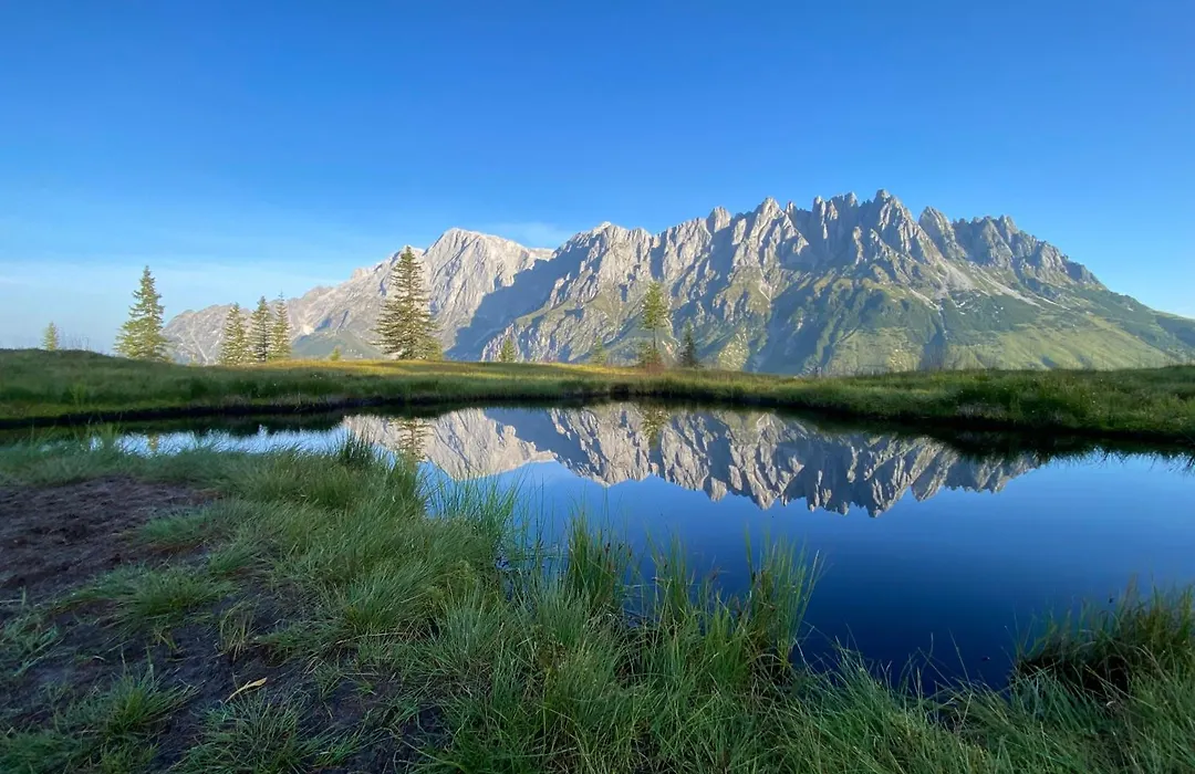 Marmotta Alpin Hotel-1